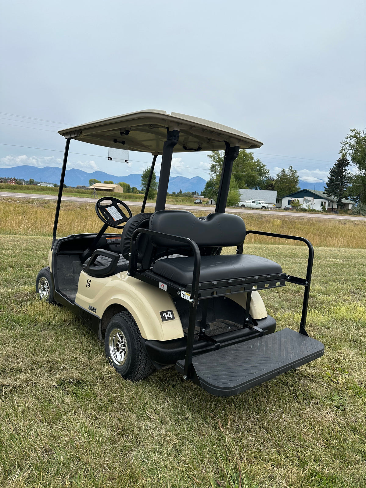 2 and 4 Seater Golf Cart Rental