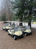 2 Seater Golf Cart Rental